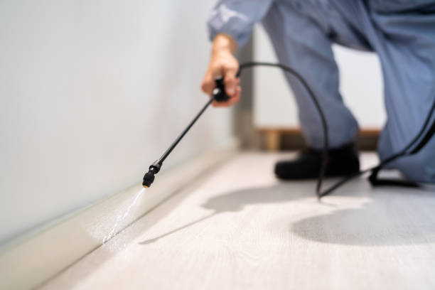 Professional exterminator conducting IPM assessment in Lexington